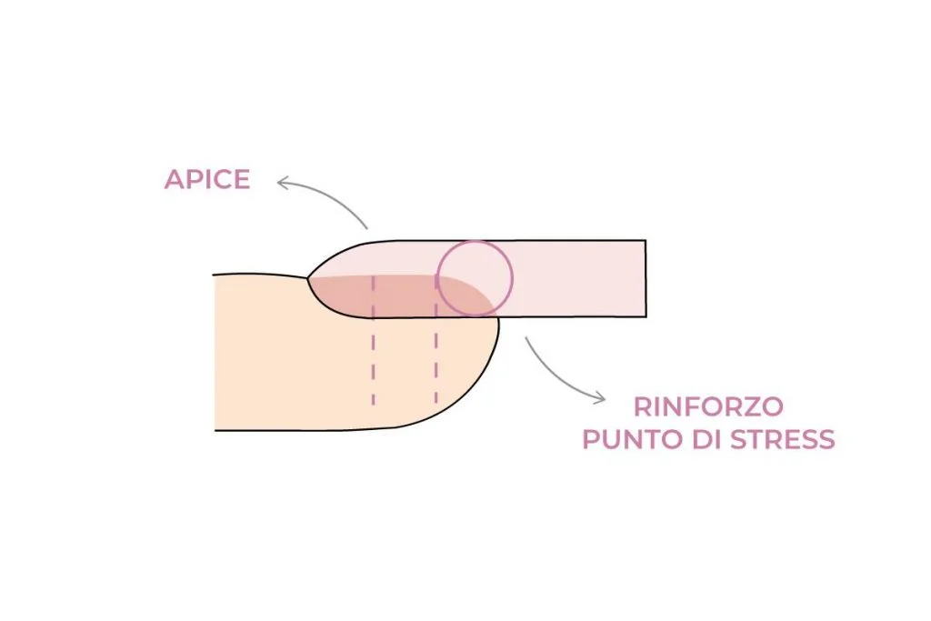 Apice unghia e punto di sforzo